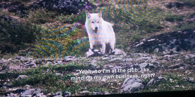 Photo / Reddit user benmeiri84