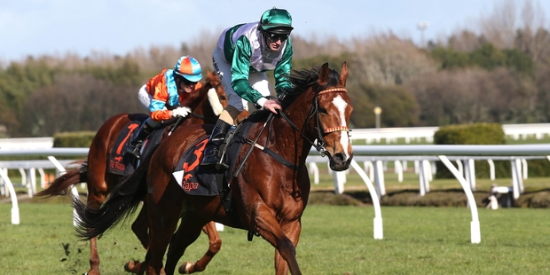Course specialist Southern Icon appeals as a sound prospect for the Foxbridge Plate at Te Rapa today.