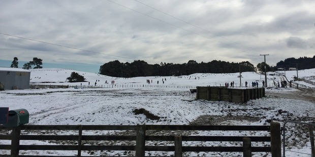 Snow near Taupo yesterday. Photo / Thomas Richardson