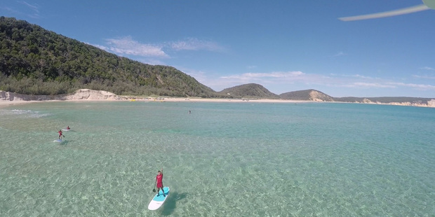 Stand-up paddleboarding with Epic Ocean Adventures. Photo / 123RF