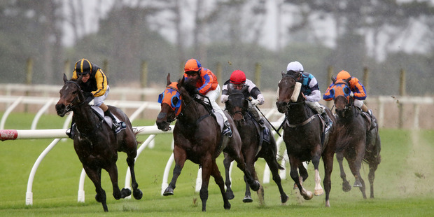 Hello M'Lady will step out at Taupo today. Photo / File