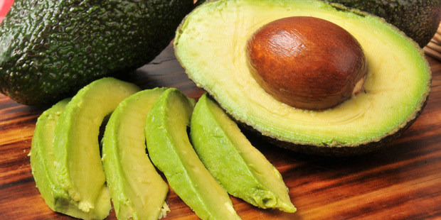 The new avocado season is predicted to be the biggest New Zealand has ever seen.