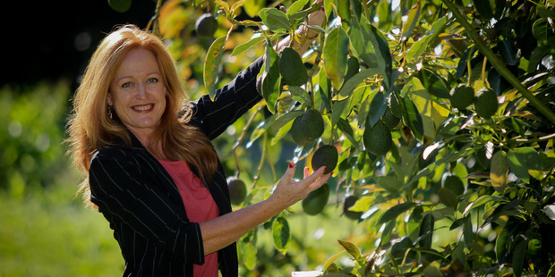 NZ Avocado Growers' Association chief executive Jen Scoular /supplied