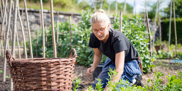 Growing food is a slow process, not one that need be rushed, and there is order in the process.