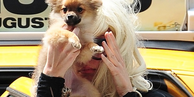 Amanda Bynes is seen in Chelsea on July 10, 2013 in New York City. Photo / Getty