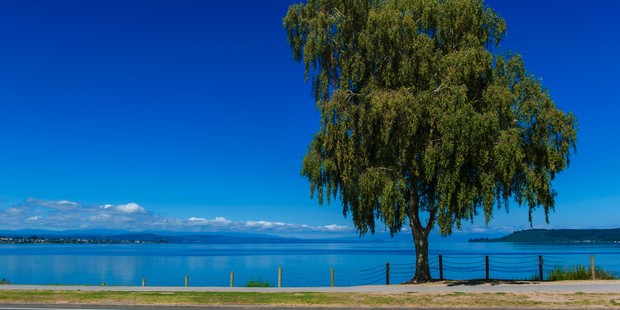 Taupo's a holiday town that can still charm the locals says Ewan McDonald.