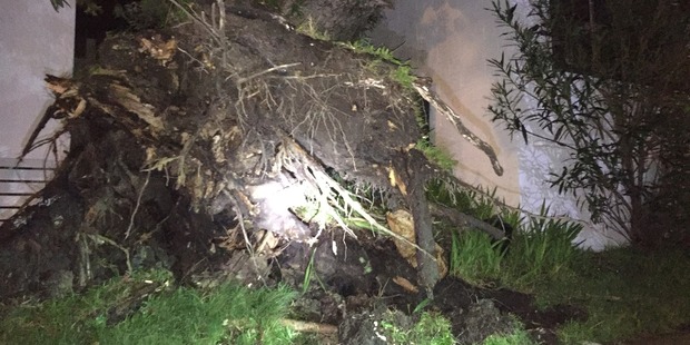 Severe winds have caused chaos across Auckland tonight. Photo / Mowgli Buckingham