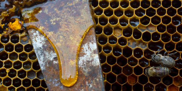 New Zealand has no legal jurisdiction over New Zealand-produced honey packaged and labelled in other countries. Photo / Greg Bowker