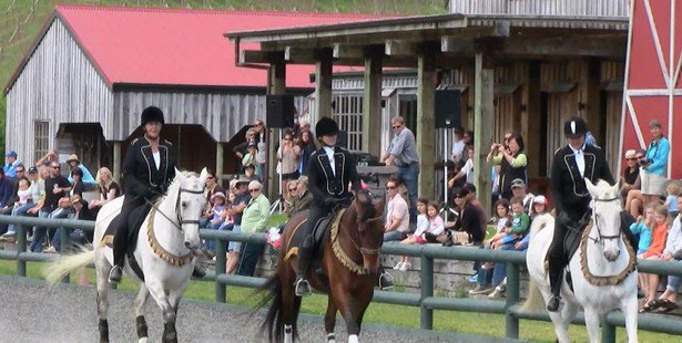 Horse riding event at the Matakana Country Park, the property at the centre of a dispute between a separated couple. Photo / Supplied