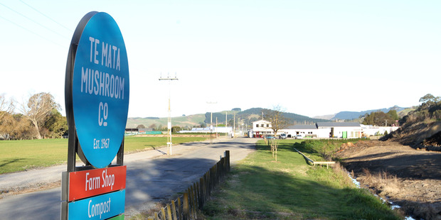 Te Mata Mushroom Co is about 350 metres away from Hastings District Council No 2 bore on Brookvale Rd, Havelock North. Photo / Duncan Brown