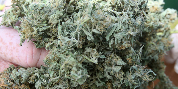 A cake laced with cannabis was allegedly served to unsuspecting diners at a Nelson restaurant. Photo / file