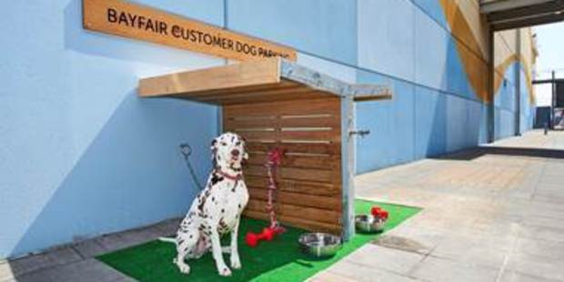 Check out this luxury dog parking. Photo / Supplied