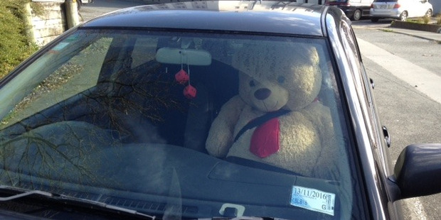 Good to see Ted is strapped in. Photo / Supplied