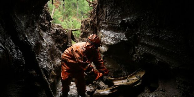 As the pumps roar through gasoline (one brigade went through five tons of it in three weeks) most of the prospectors will turn up only "worthless" bones like these. Photo / Amos Chapple/RFE/RL