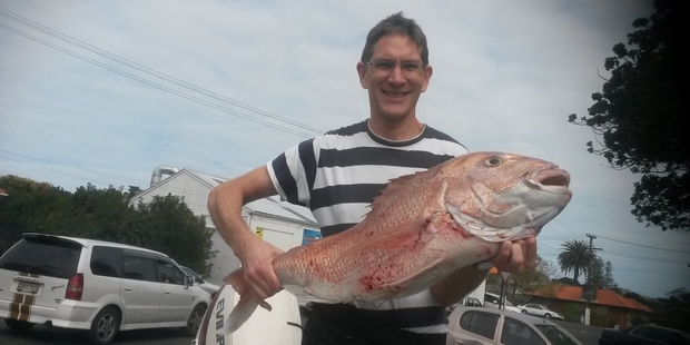 Simon Mackereth wasn't expecting a solid 8.2kg snapper on his strayline. Picture / Phil Coveny