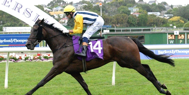 High-class mare Provocative looks a sound each-way chance at Caulfield today, when she kicks off her spring campaign. Picture / Race Images