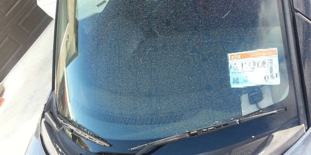 Pollen has covered Shalesh Lal's car in Papaptoetoe. Photo/Supplied