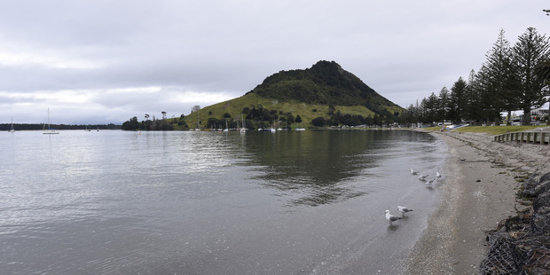 The assault took place near the summit of Mount Maunganui. Photo / File