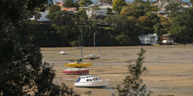 Westmere has become increasingly desirable in the past couple of decades. Photo / Ted Baghurst