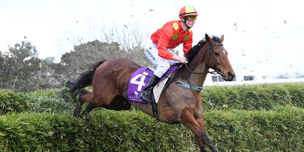 Kick Back gave a great display of jumping and stamina in winning the Pakuranga Hunt Cup last month. Picture / Race Images