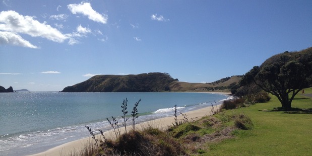 Gorgeous Opito Bay on the Coromandel Peninsula. Photo / Eveline Harvey