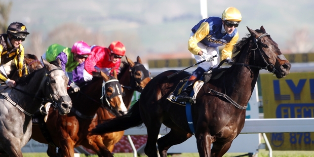 Kawi dashes clear of his rivals to win the Makfi Challenge Stakes at Hastings on Saturday. Photo / Paul Taylor