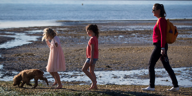 Many beachgoers enjoy views of the dormant volcano Rangitoto across the water. Photo / Jason Oxenham