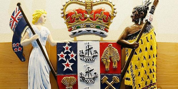 Crown lawyers said the case was about the Bill of Rights Act, which guaranteed that care would not fall below current minimum standards. Photo / File