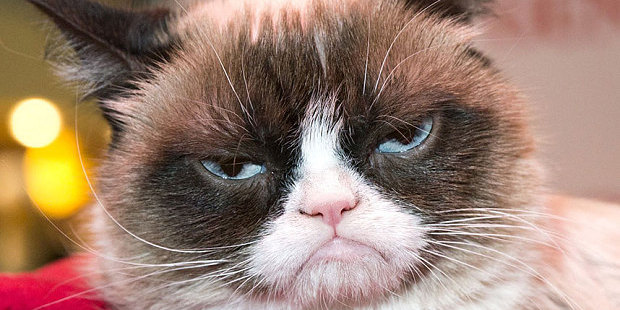 The company ignored requests, so Grumpy Cat's owners are now asking a California federal court for $828,040 in damages.