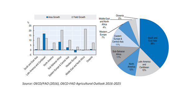 Area and yield by region: Area and yield growth 2025 vs. 2013-15 (left) and share of agricultural area in 2025 (right).