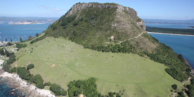 A teenage girl was assaulted near the summit of Mauao on Thursday afternoon. Photo/file