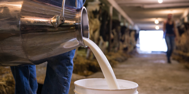 Some Kiwi dairy businesses face question marks over their long-term viability as the industry heads into its third consecutive season of negative returns. Photo / Getty Images