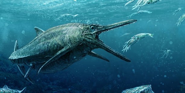 Half a century after it was first discovered, the fossil of an ancient Scottish ichthyosaur is finally being studied. Picture / artist's impression