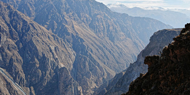 The Colca Canyon. Photo / 123RF