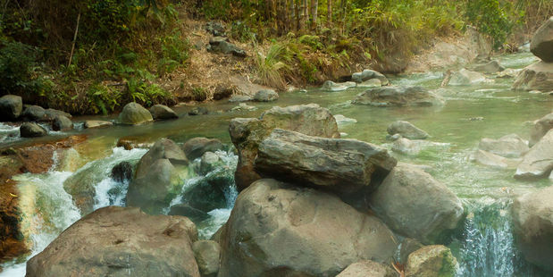 Water close to 70 degrees rushes past rocks in Arkansas' Hot Springs National Park. Photo / 123RF