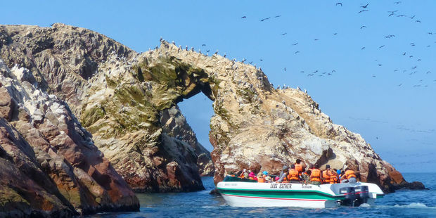 The Ballestas Islands are a five-hour drive away from Lima. Photo / 123RF