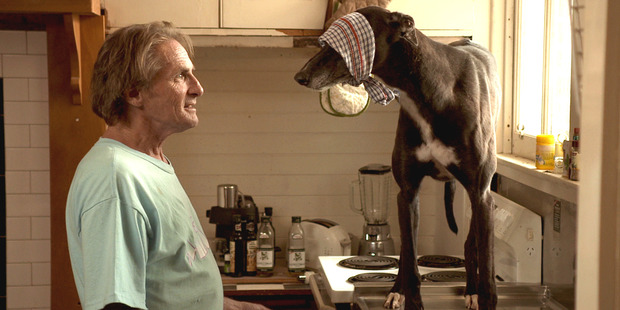 A scene from Hounds, a TV3 comedy made by The Downlow Concept.