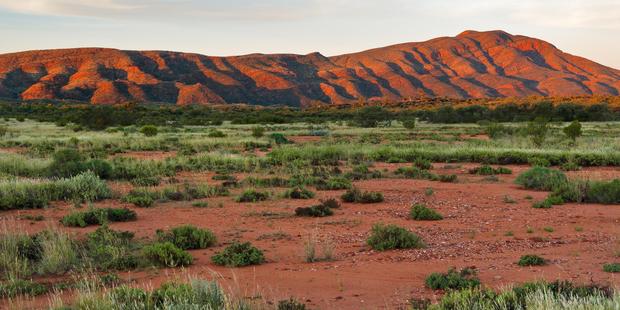 There's plenty to forage in the outback lands around the Western MacDonnell Ranges if you know what you're looking for. Photo / Alamy