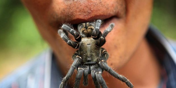 The market town of Skuon in Cambodia has been so overrun with eight-legged creepy crawlies they have taken to eating them. Photo / Getty Images