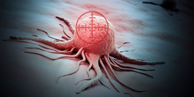 Scientists have devised a simple test which hunts for the mutations and can indicate if cancer is present in just a couple of hours. Photo / Getty