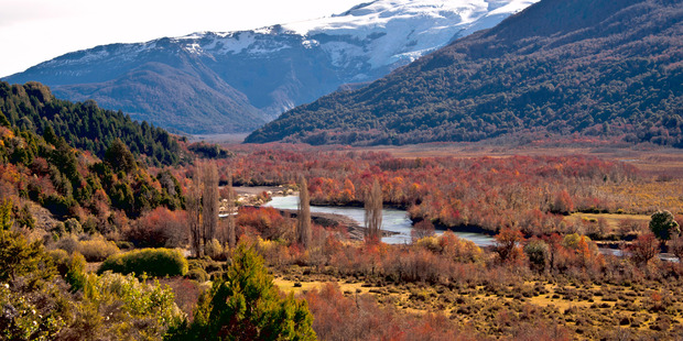 The ice-covered Mt Tronador.