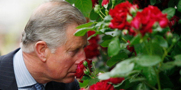 Britain's Prince Charles. Photo / AP