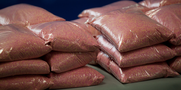 Some of the ContacNT seized during Operation Ghost. Photo / Richard Robinson.