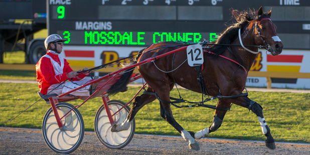 Trainer John Dunn has been putting a steady diet of work into Franco Nelson to prepare for this season. Photo / Peter Meecham