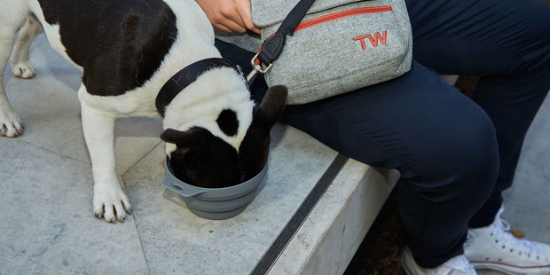 Some of Travel Wag's products - a travel dog bowl and tote bag.