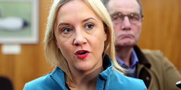 DEVASTATED: MPs have expressed shock and sympathy on social media in response to Nikki Kaye's decision to stand down. PHOTO/FILE