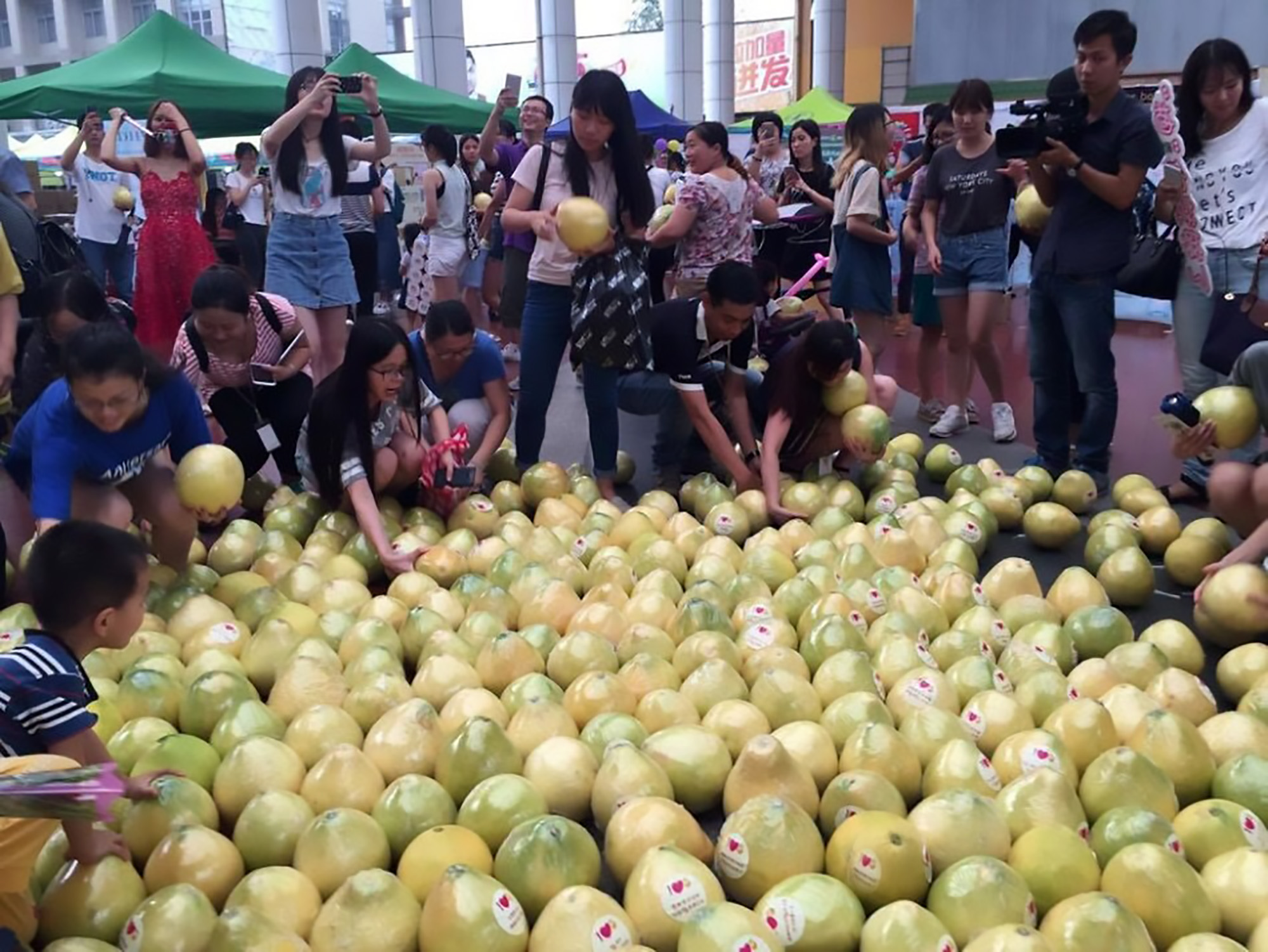 The crowd swept up the fruit in under two minutes. Photo / Australscope