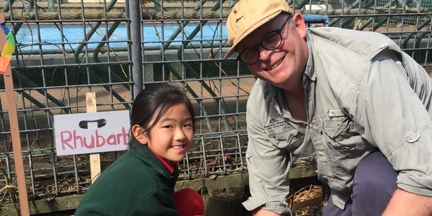 Chef Al Brown helps Jolene Huang plant rhubarb at Meadowbank School. Photo / Holly Ryan