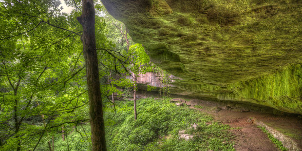 A mossy rock overhang on the Cedar Sink Trail in Kentucky's Mammoth Cave National Park. Photo / 123RF