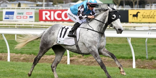 Photo: race Images Palmerston North